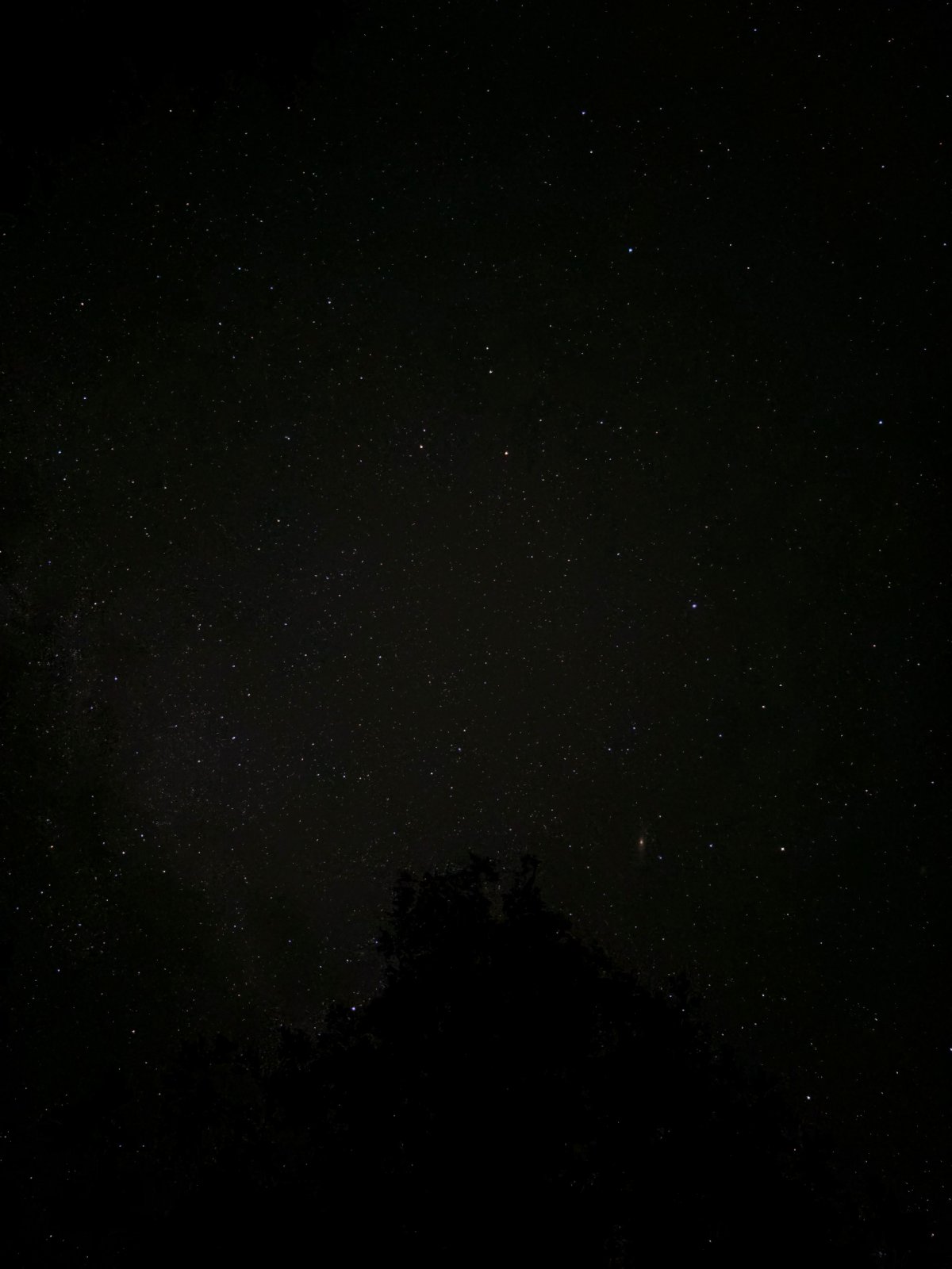 Stars at night
