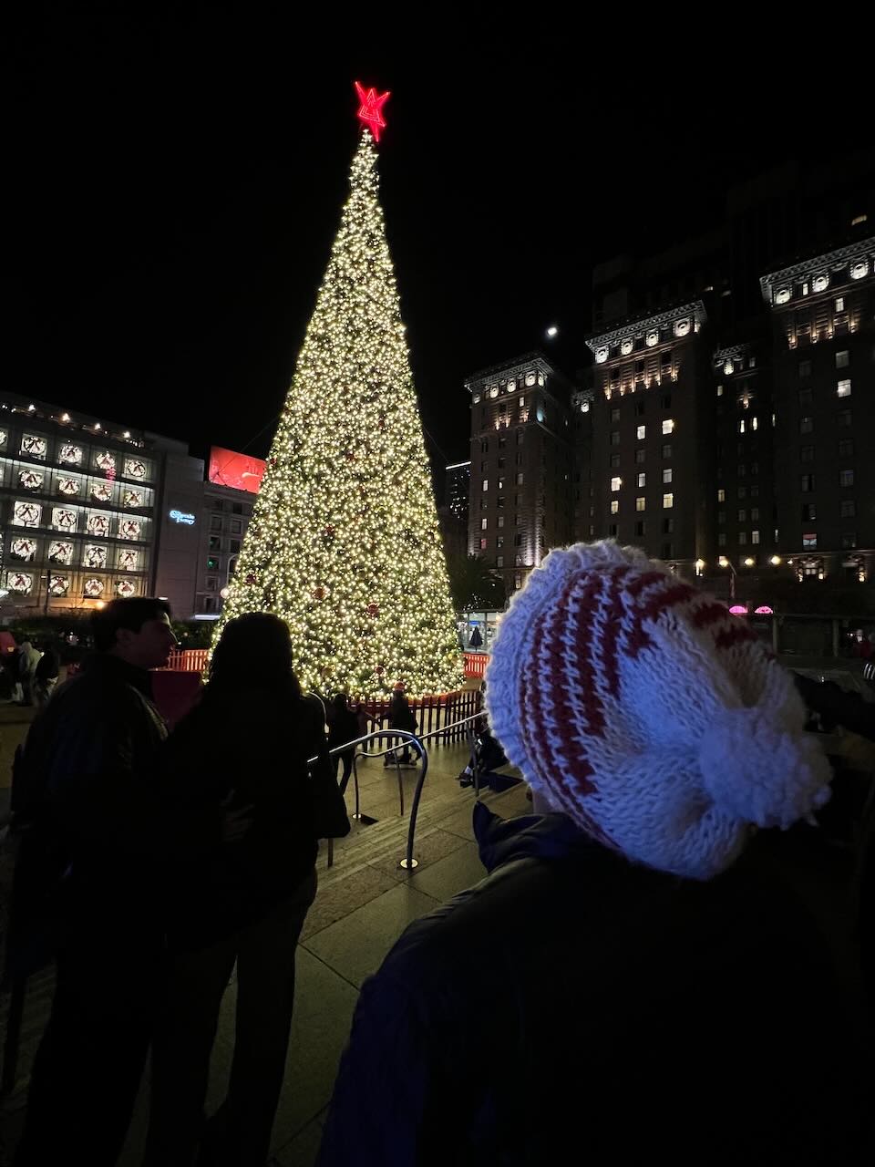 Pablo looking at the tree