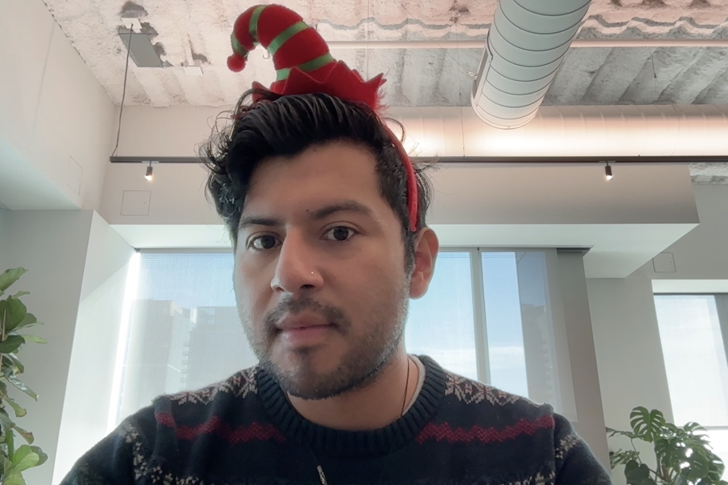 Pablo the Elf